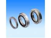 Model H8/H10 mechanical seal