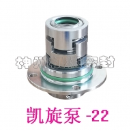 Triumphant pump -22